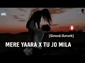 Mere Yaara X Tu Jo Mila [Slowed+Reverb] Bollywood Lo-Fi - Musical Reverb