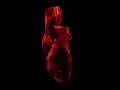 Corazón delator - Soda Stereo (Remasterizado)