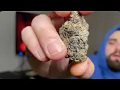 LONDON JELLY Strain Review