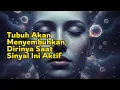 Lagu 💥Inilah Mode 'Ajaib' dalam Tubuhmu yang Bisa Menyembuhkan Dirinya Sendiri