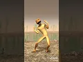 Download Lagu kodok joget lucu viral tik tok 😂