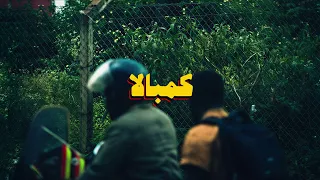                                     دندنها