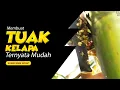 Download Lagu TUAK !!!  BEGINI CARA BUAT TUAK KELAPA.....#wain #wine #tuak #palmwine