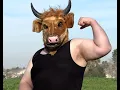 Nugget Markets Piedmontese Cattle Look a Little Different