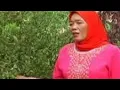 Download Lagu Lagu Daerah Sumatera Selatan || SEDING SAYANG || Koleksi Lagu || Sopir Ngonten.