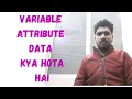 Variable Or Attribute Data Kya hota Hai What is Variable or Attribute Data