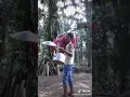 Download Lagu Euleuh euleuh eta si akang.. 😂🙊