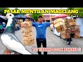 BELANJA MERPATI GIRINGAN DI PASAR MUNTILAN MAGELANG BAGUS BAGUS COCOK BUNGKUS PART 3