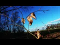 Kodaline - Love Like This (UNOFFICIAL MUSIC VIDEO)