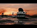 TRINIX & Fafá de Belém - Emorio (DEVANK REMIX)