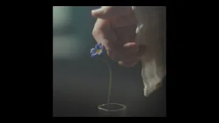 Mrs. GREEN APPLE「天国」Official Music Video