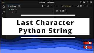 How to get Last Character in Python String