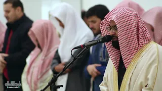 ماتيسر من سورة الزخرف بتريل مؤثر للشيخ ناصر القطامي 24 4 1441 