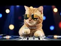 Download Lagu Dj Zo_in Viral terbaru tiktok2025 ( janda pirang ) #music #dj #cat #djremix #fypシ゚viral #dangdut