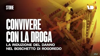 Convivere con la droga: la riduzione del danno nel boschetto di Rogoredo a Milano