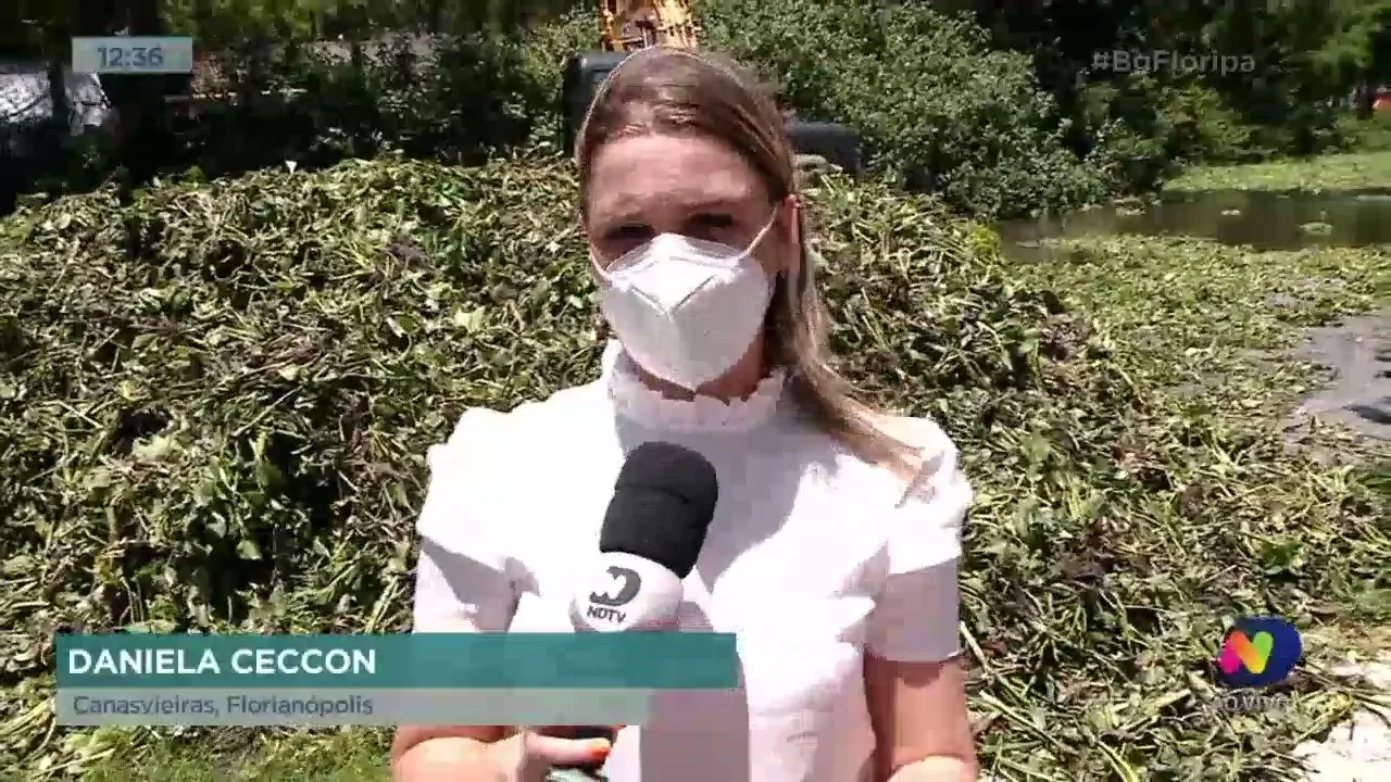 Após denúncia do Balanço Geral, prefeitura começa retirada de plantas do Rio do Brás