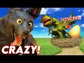 Download Lagu COLLECTING RARE EGGS in Animal Company (Animal Company VR)