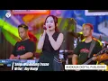 Download Lagu TEASER Diva Hani - Wis Kadung Tresno | New Pallapa [Official Live Music]