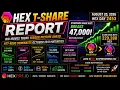 HEX T-Share Report HTT-8000 Stakes Dominate October 2041 T-Shares