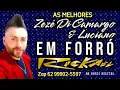 AS MELHORES Zezé Di Camargo e Luciano em FORRÓ @RickaelGuith