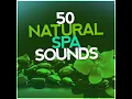 Peaceful Birdsong - The Sounds of Earth Group