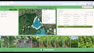 Abbott Marshland Nature and Invasive Species Web Application Tutorial - Web GIS Final Project