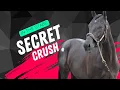 Unbelievable This Horse Has an Absolutely Star-Studded Pedigree from Top to Bottom
