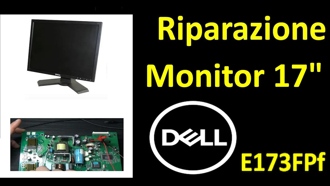 0689: Riparazione Monitor DELL E173FPf da dumpster