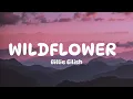Download Lagu Billie Eilish - WILDFLOWER (Lyrics)