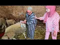 Lagu عويشتي ختارت أحسن حولي لعائلتها وصدمت با قدور 