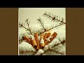 Warmth Within