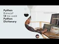 Python Tutorial - 12 Python Dictionary Python Collections Black Tiger Sinhala