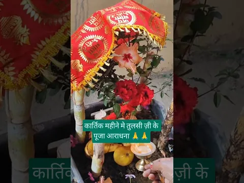कार्तिक महीने मे तुलसी ज़ी के 🙏🙏 #tulsi #motivational #trendingshorts #viralvideo