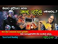 Download Lagu ඔයාට ඉදිරියට වෙන හොඳ දේවල් මොනවද..?|What Good Things Are Ahead for You? | Pick a Card Tarot Reading