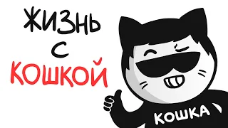 ЖИЗНЬ С КОШКОЙ! (анимация)