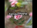 Download Lagu Asmaul Husna (Zizi Kirana) Lirik Lagu