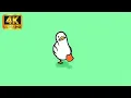 Walking Duck 4k Live Wallpaper Animated Live Wallpaper
