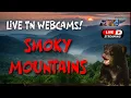 LIVE Webcams in the Smokies - Explore Tennessee