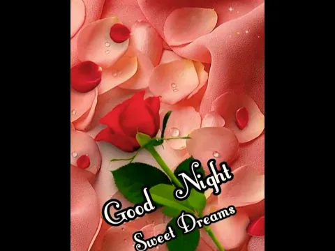 Download MP3 good night love 💕 video status 😘💕