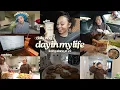vlog hang out with me for a day boba drive w me cooking etc aliyah simone