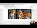 Intro - TensorFlow Object Detection API Tutorial p 1