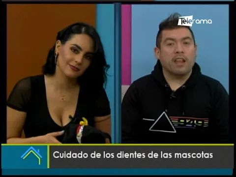 Cuidado de los dientes de las mascotas