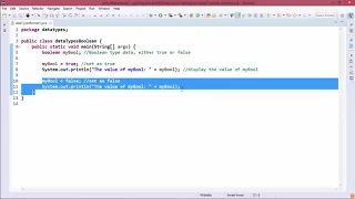 Java Essentials - Boolean type data in java