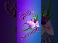 nice good morning gif animation