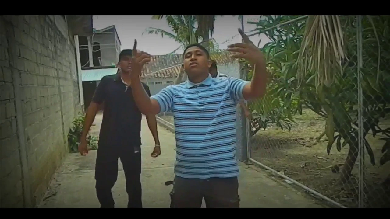 DSF - Criticas Video Oficial