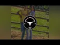 Download Lagu Será que cê Topa - Banda Pancanejo (Máfia da Agropecuária)