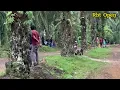 Rbt Open Andre p badak mampu bersaing dengan ahmadfadila & AlwiNata
