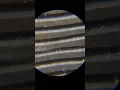 Download Lagu Vinyl record under a microscope. #Shorts