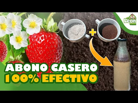 Download MP3 ⭐ Más FLORACIÓN y Muchos FRUTOS ABONO CASERO MÁGICO  SOLO 2 Ingredientes | Fertilizante Casero