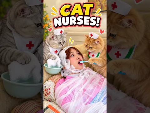 She Couldn’t Get Up… So Her Cats Became Her Nurses! 😻 #exlittlebeans #funnyshorts #cat